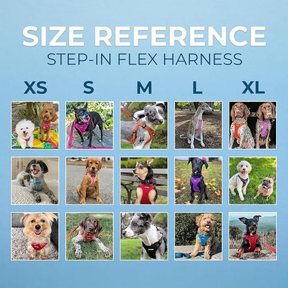 Best Pet Supplies Voyager Adjustable Dog Vest Harness Breathable No Pull Harness for Small, Medium, Large Dogs, Harness for Walking, Jogging, Easy Step-In, Reflective Stripes - (Royal Blue), S BestPetSuppliesLLC