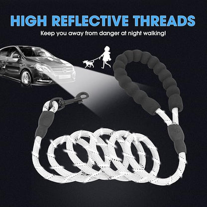 BAAPET 2/4/5/6 FT Dog Leash with Comfortable Padded Handle and Highly Reflective Threads for Small Medium and Large Dogs (5FT-1/3'', Silver) BAAPET