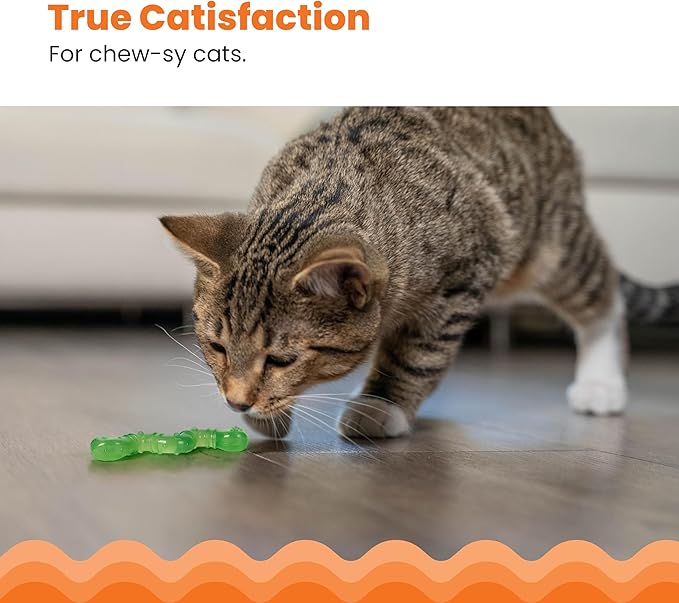 Catstages Orkakat Wiggle Worm Dental Catnip Cat Chew Toy, Assorted Color - PAWPICO
