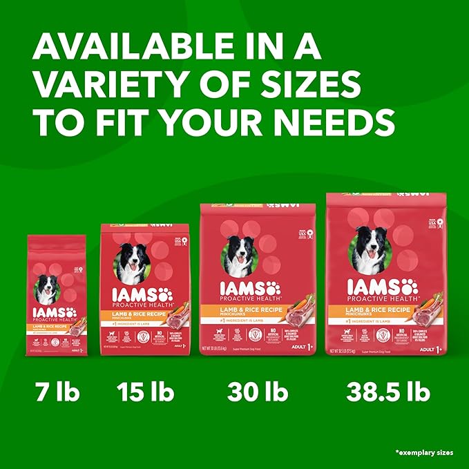 IAMS Minichunks Adult Dry Dog Food Lamb & Rice Recipe Dog Kibble, 15 lb. Bag - PAWPICO