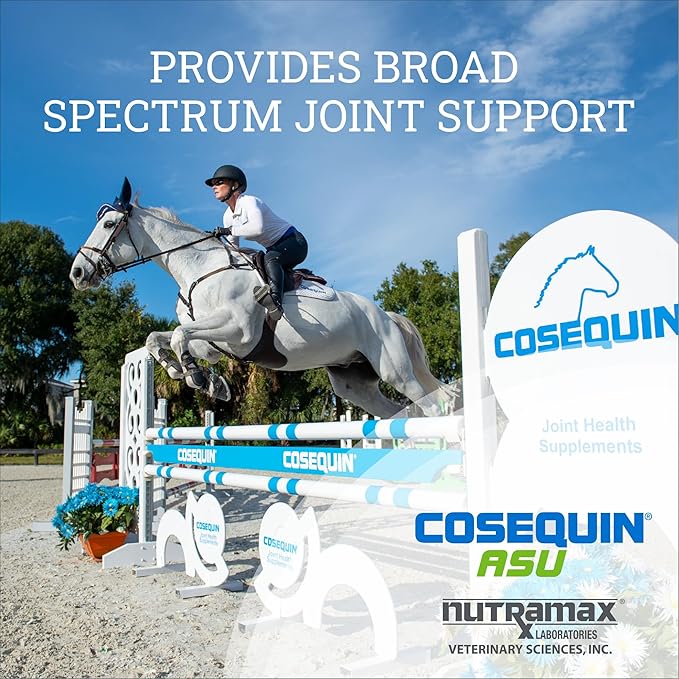 Nutramax Cosequin ASU Joint Health Supplement for Horses - Powder with Glucosamine, Chondroitin, ASU, and MSM, 500 Grams NutramaxLaboratories