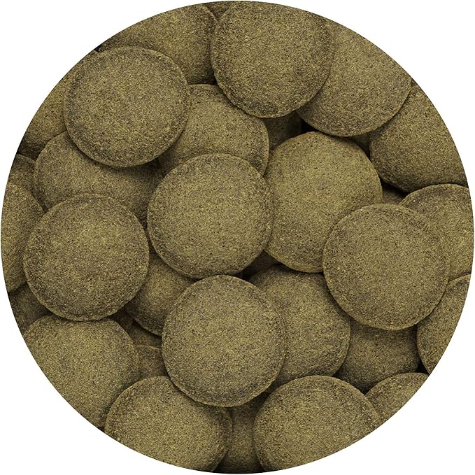 Hikari Usa Inc AHK21328 tropical Algae Wafer 8.8-Ounce Hikari