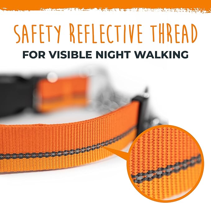 Mighty Paw Martingale Dog Collar 2.0 | Trainer Approved Limited Slip Collar with Stainless Steel Chain & Heavy Duty Buckle - Modified Cinch for Gentle & Effective Pet Training - Medium, Orange MightyPaw