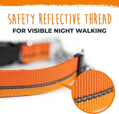 Mighty Paw Martingale Dog Collar 2.0 | Trainer Approved Limited Slip Collar with Stainless Steel Chain & Heavy Duty Buckle - Modified Cinch for Gentle & Effective Pet Training - Medium, Orange MightyPaw