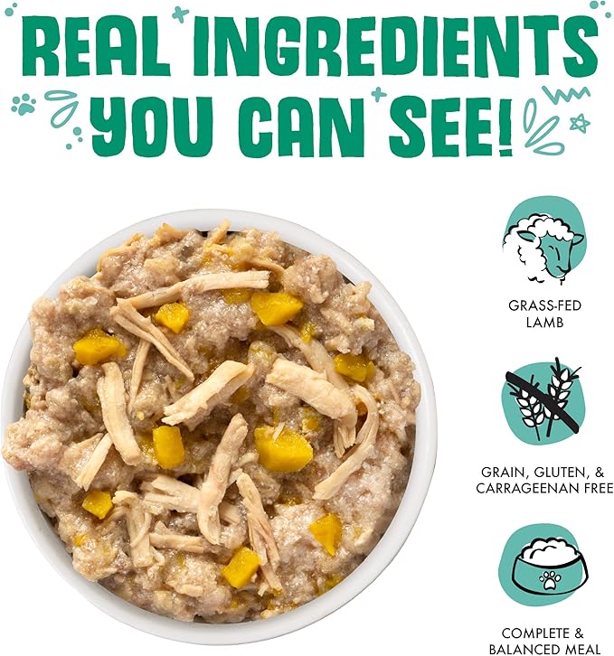 Weruva Classic Dog Food, That's My Jam! with Chicken & Lamb in Gelée, 14oz Can (Pack of 12), Green - PAWPICO