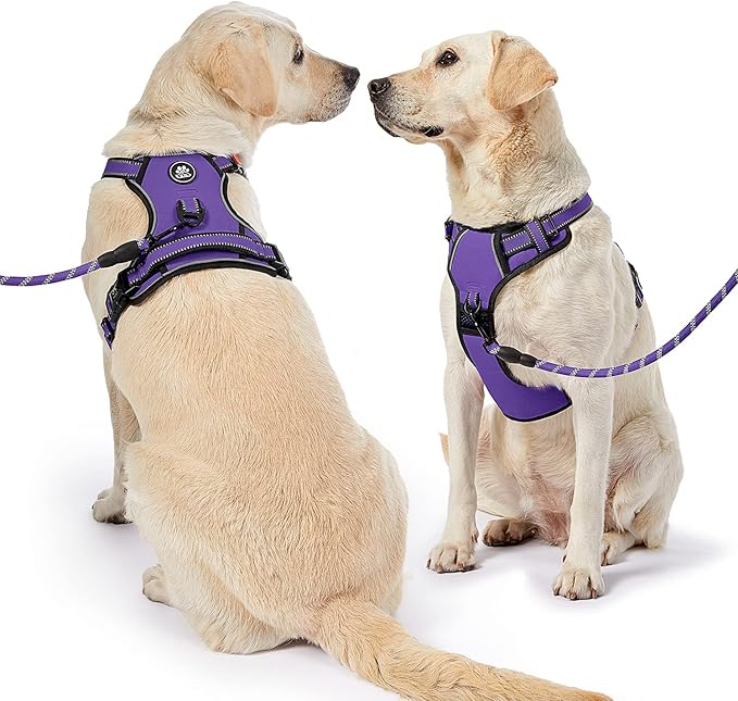 NESTROAD No Pull Dog Harness,Adjustable Oxford Dog Vest Harness with Leash,Reflective No-Choke Pet Harness with Easy Control Soft Handle for Large Dogs(Large,Purple) NESTROAD