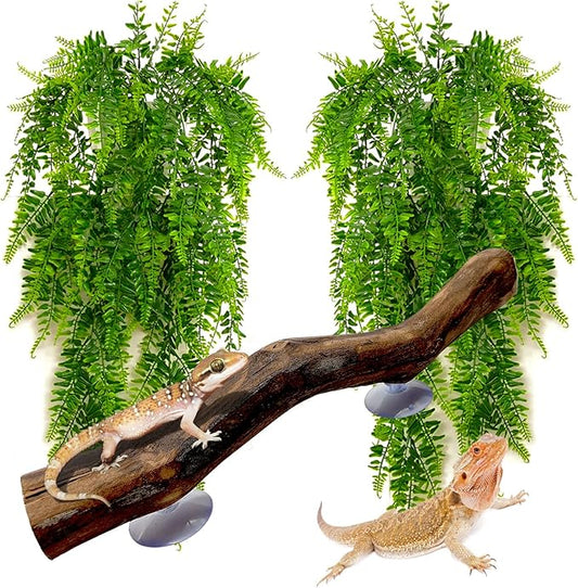 kathson Reptile Corner Branch Tank Habitat Decorations Bearded Dragons Plants Hanging Plastic Fake Climbing Terrarium Plant Decor for Amphibian Lizards Crested Gecko Snake Hermit Crab Frogs 3Pcs kathson