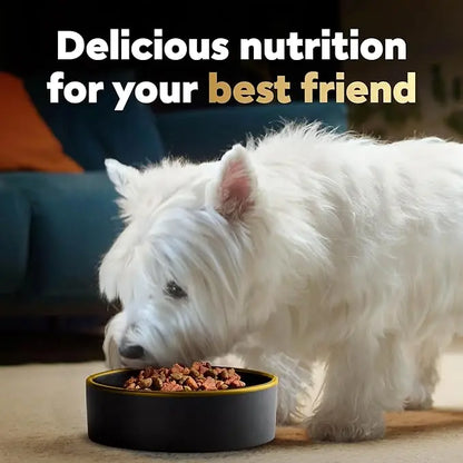 CESAR Small Breed Dry Dog Food Rotisserie Chicken Flavor and Spring Vegetables Garnish, 2.7 lb. Bag - PAWPICO
