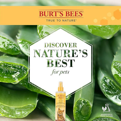 Burt's Bees for Pets Cat Naturally Derived Dander Reducing Spray with Soothing Colloidal Oat Flour & Honey - Cruelty Free, Made in USA, 10 oz Bottle - PAWPICO