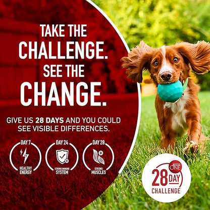 Purina ONE True Instinct With A Blend Of Real Turkey and Venison Dry Dog Food - 27.5 lb. Bag - PAWPICO