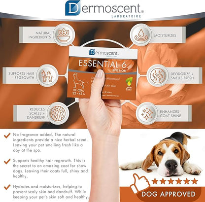 Dermoscent Essential 6 spot-on - Dog Skin Care for Dandruff & Allergy Relief with Vitamin E Oil - Anti Itch for Dogs - Natural Ingredients for Sensitive Skin - Dogs 10-20 kg - 4 Pipettes of 1.2 ml Dermoscent