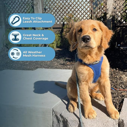 Voyager Step-in Air Dog Harness - All Weather Mesh, Reflective, No Pull Harness for Small, Medium Dogs, Cats - Secure with Hook & Loop Fastener, Buckle, Double D-Rings - Royal Blue, M BestPetSuppliesLLC