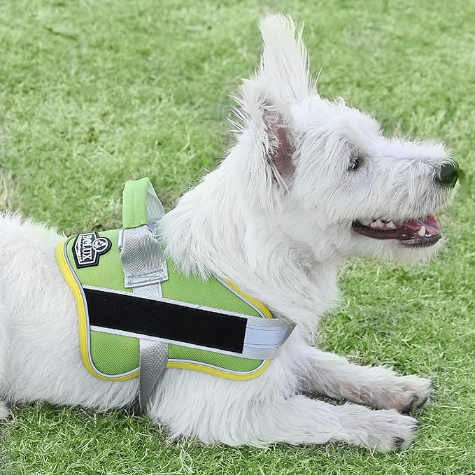 Bolux Dog Harness, No-Pull Reflective Dog Vest, Breathable Adjustable Pet Harness with Handle for Outdoor Walking - No More Pulling, Tugging or Choking (X-Small (Pack of 1), GreenYellow) Bolux