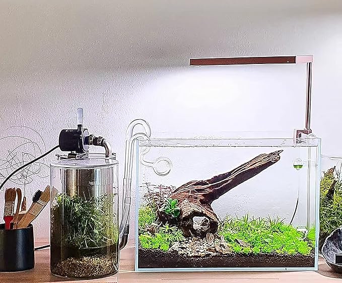 Ultra Clear Rimless Aquarium Tank 2-22 gallons Low Iron Glass (10GaI - Top Glass Canopy) Allcolor