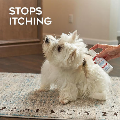 DOGSWELL Remedy + Recovery 0.5% Hydrocortisone Lotion for Dogs, 4 oz. (Packaging May Vary) Dogswell