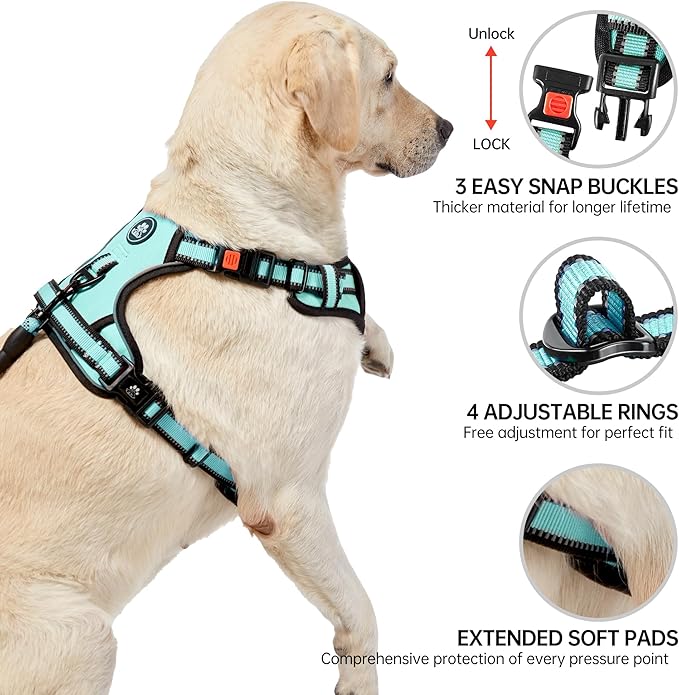 NESTROAD No Pull Dog Harness,Adjustable Oxford Dog Vest Harness with Leash,Reflective No-Choke Pet Harness with Easy Control Soft Handle for Medium Dogs(Medium,Turquoise) NESTROAD