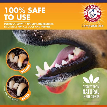 Arm & Hammer Complete Care Enzymatic Dog Toothpaste, 6.2 oz - Dog Toothpaste for Puppies and Adult Dogs, Arm and Hammer Toothpaste for Dogs - Pet Toothpaste, Dog Dental Care and Clean Dog Teeth ARMHAMMER