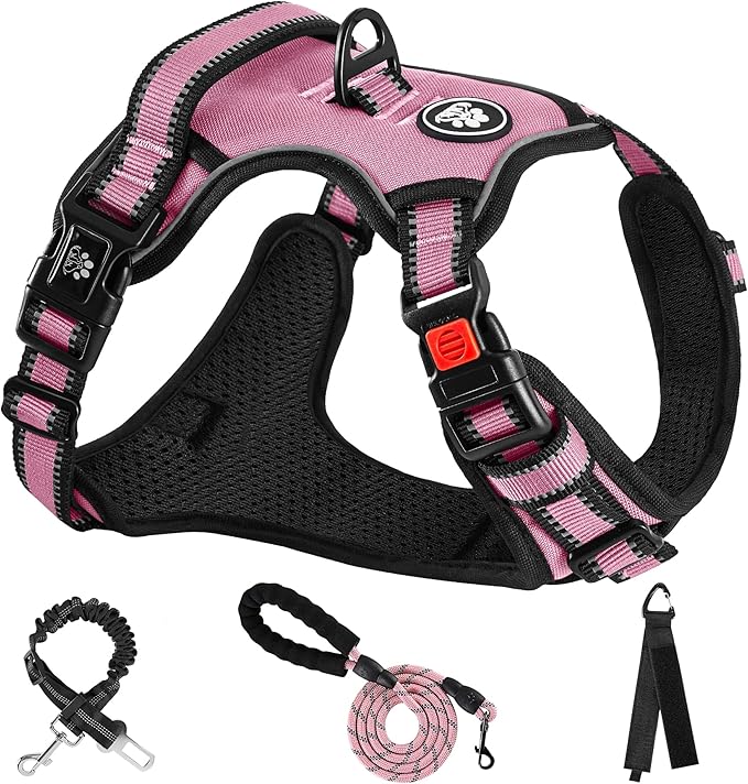 NESTROAD No Pull Dog Harness,Adjustable Oxford Dog Vest Harness with Leash,Reflective No-Choke Pet Harness with Easy Control Soft Handle for Small Dogs(X-Small,Pink) NESTROAD