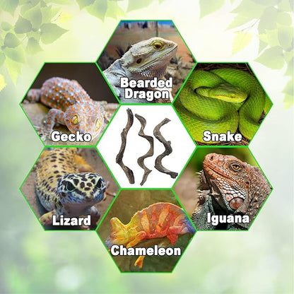 Reptile Decor Natural Forest Branch Terrarium Habitat Decoration Lizard Climbing Tree Branch for Bearded Dragon Gecko Snake Frog Chameleon Spider 3PCS BNOSDM