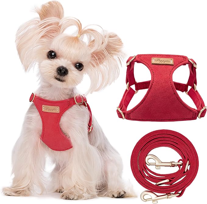 Puppytie No Pull xs Dog Harness with Multifunction Dog Leash,Soft Adjustable No Choke Escape Proof Pet Harness Vest,red-Camellia,XS Puppytie