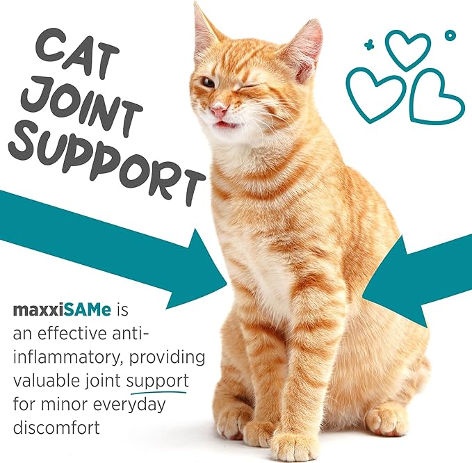 maxxiSAMe Advanced SAM-e Powder Supplement - Liver, Cognitive & Joint Support for Cats, 3.2oz maxxipaws