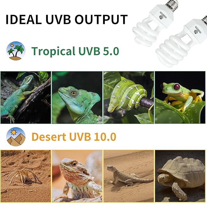 UVA UVB Reptile Light 15W 10.0,Desert Terrarium Compact Fluorescent Lamp,UVB Reptile Light Bulb for Snake,Spider,Bearded Dragon REPTIHOME