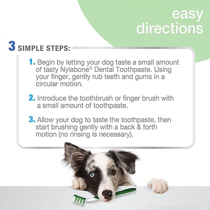 Nylabone Advanced Oral Care Natural Dog Dental Kit Peanut Flavor 2.5 oz. Nylabone