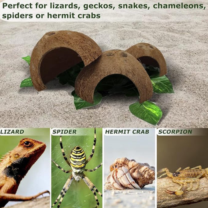 Hamiledyi Reptile Hideouts Natural Coconut Shells Hut Hermit Crab Climbing Toys Gecko Hide Cave Lizard Habitat Decor Plant Leaves Decoration for Spider Snake Chameleon (4Pcs) Hamiledyi