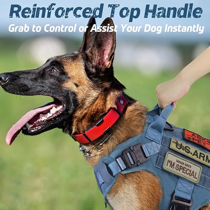 rabbitgoo Tactical Dog Harness for Small, Heavy Duty Pet Harness with Handle, No-Pull Service Vest Small Breed, Adjustable Military Dog Vest for Training Hunting Walking, Blue, S rabbitgoo