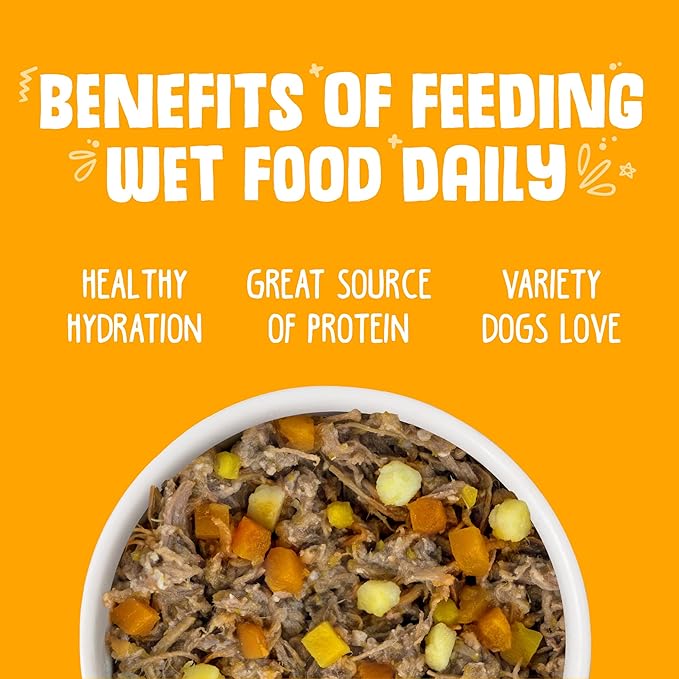 Weruva Classic Dog Food, Variety Pack, Baron's Batch, Wet Dog Food, 5.5oz Cans (Pack of 24) - PAWPICO