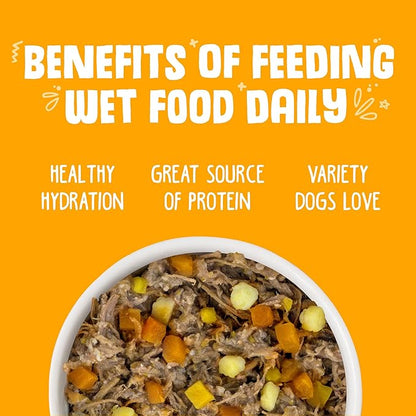 Weruva Classic Dog Food, Variety Pack, Baron's Batch, Wet Dog Food, 5.5oz Cans (Pack of 24) - PAWPICO