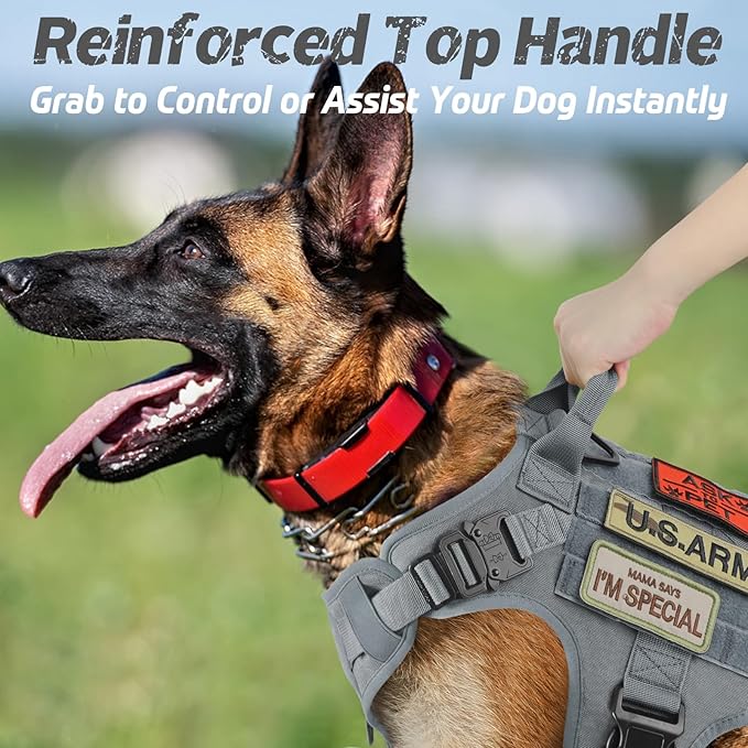 rabbitgoo Tactical Dog Harness for Large, Heavy Duty Pet Harness with Handle, No-Pull Service Vest Large Breed, Adjustable Military Dog Vest for Training Hunting Walking, Grey, XL rabbitgoo