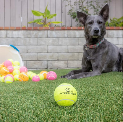 Hyper Pet Tennis Balls for Dogs - 12 Pack 2.5" for Exercise and Fetch, Interactive Toys, Great for Small Breeds - PAWPICO