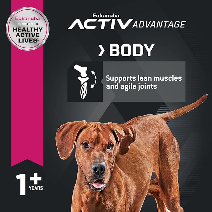 Eukanuba Adult Large Breed Dog Food Dry, Lamb 1st Ingredient, Dog Food Dry Formula for Large Dogs with Protein, DHA and Vitamins to Support an Active Lifestyle, 30 lb Bag - PAWPICO