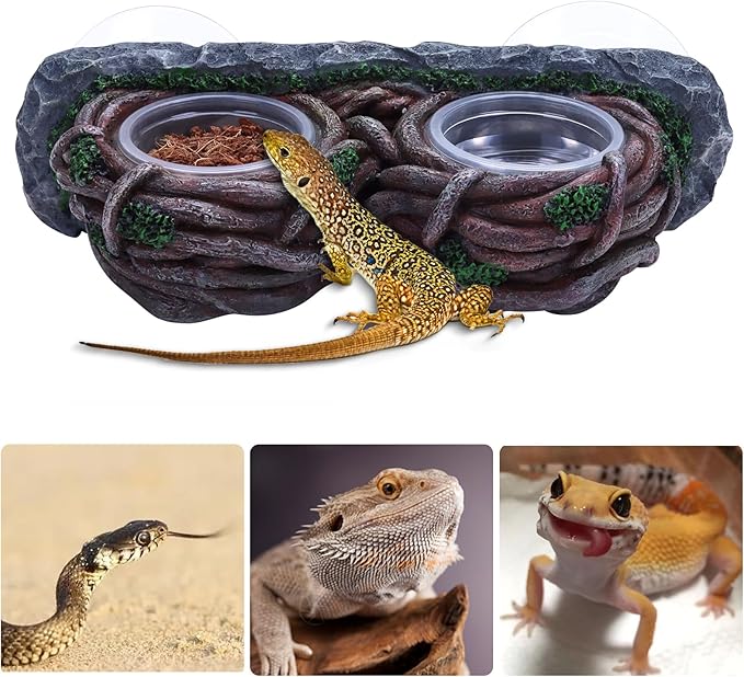 AIICIOO Crested Gecko Feeding Ledge Double Bowl Reptile Vine Food Ledge with 4 PCS Cup Corner Water Bowl for Lizard Snake Bearded Dragon Frog Turtle Terrarium Tank Decor AIICIOO