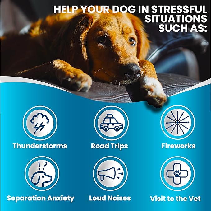 Hemp Calming Chews Treats for Dogs Anxiety Relief & Stress - Travel, Thunder, Separation - Hemp Oil - Valerian - Melatonin for Dogs - Sleep Calming Aid - Pet Soft Bites GratefulPawz