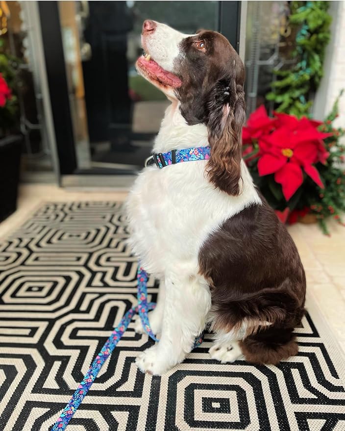 Lucky Love Dog, Blue Winter Pinecones Dog Collar, Vivid Winter Ornaments Dog Collar for Girl or Boy Dogs - (Extra Small, SweetHoliday Collar) LuckyLoveDog