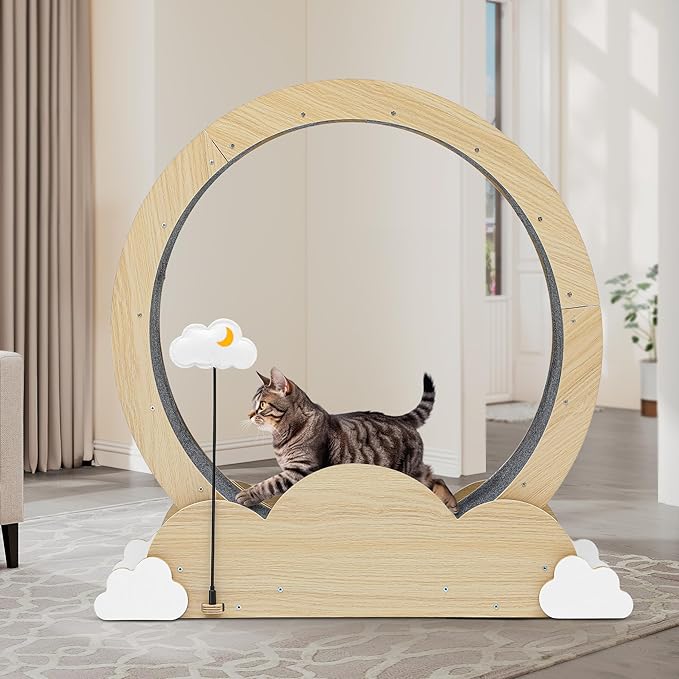 DWVO 43in Cat Exercise Wheel for Indoor Cats with Locking Mechanism, Natural Solid Wood Sturdy Cat Treadmill Wheel with Detachable Carpet, Suitable for Most Cats - PAWPICO