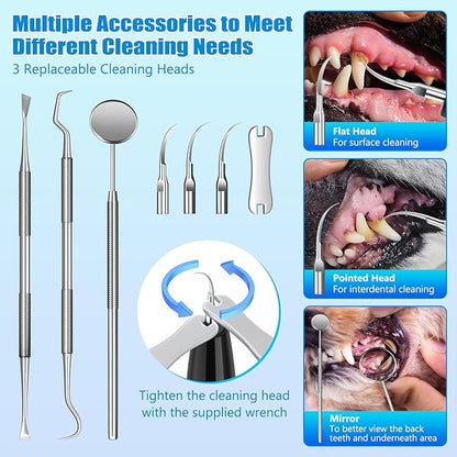 Dog Plaque Remover for Teeth, Dog Teeth Cleaning Kit with LED Light and 5 Modes for Dogs and Cats,Black MIONJO