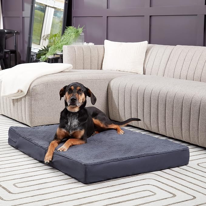 Happy Hounds Oscar Rectangle Orthopedic Foam Sherpa Dog Bed, Medium (42 x 30 in.), Prussian Blue - PAWPICO