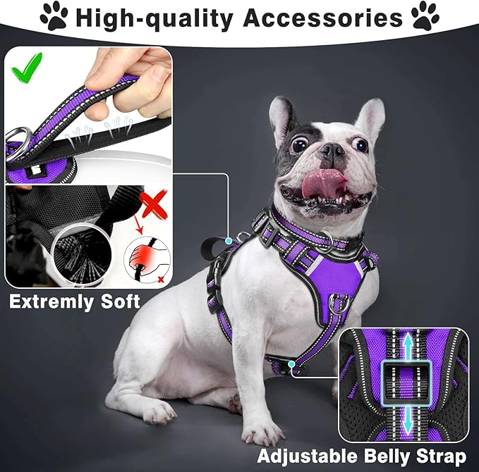 WINSEE Pet Harness Collar and Leash Set, All-in-one Reflective Dog Harness No Pull with Adjustable Buckles for Puppies, Small, Medium, Large, and Extra-Large Dogs (Large, Purple) WINSEE
