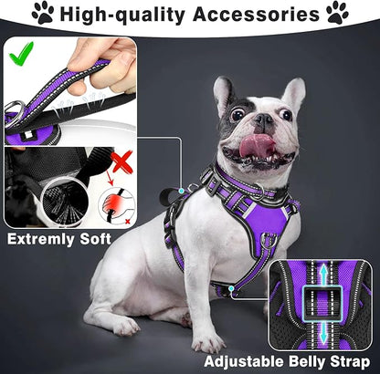WINSEE Pet Harness Collar and Leash Set, All-in-one Reflective Dog Harness No Pull with Adjustable Buckles for Puppies, Small, Medium, Large, and Extra-Large Dogs (Large, Purple) WINSEE
