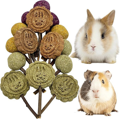 Fhiny Rabbit Chew Toys, 15 PCS Natural Bunny Lollipop Chew Sticks Handmade Guinea Pig Molar Treats for Teeth Small Animals Snacks for Guinea Pig Bunny Chinchilla Hamster Gerbil Teeth Care Fhiny