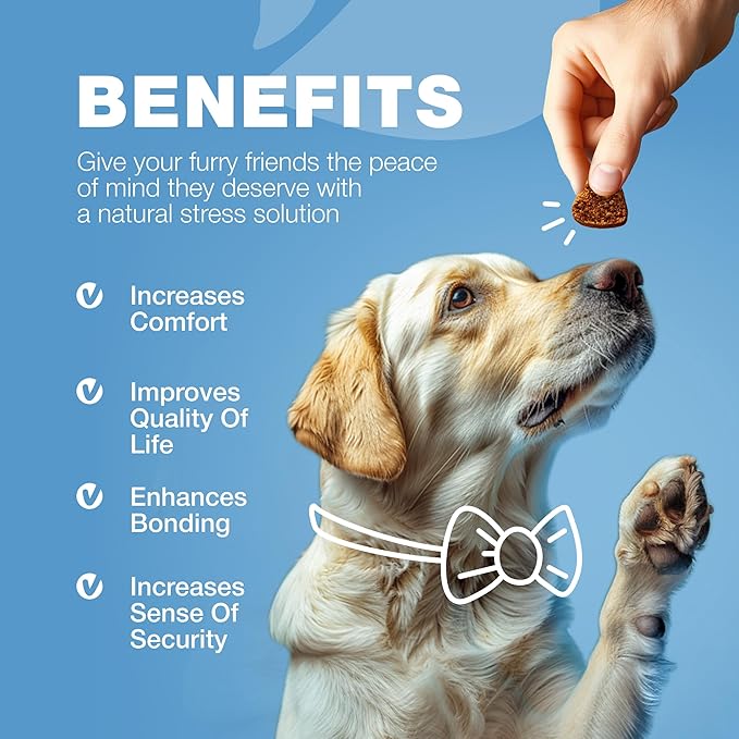 Hemp Calming Chews for Dogs - Dog Calming Treats - Anxiety Relief for Dogs with L-Theanine, Chamomile Extract, Valerian Root - Dog Anxiety Relief for Travel, Vet Visits, Thunderstorms, Nail Trimming CHEWIA