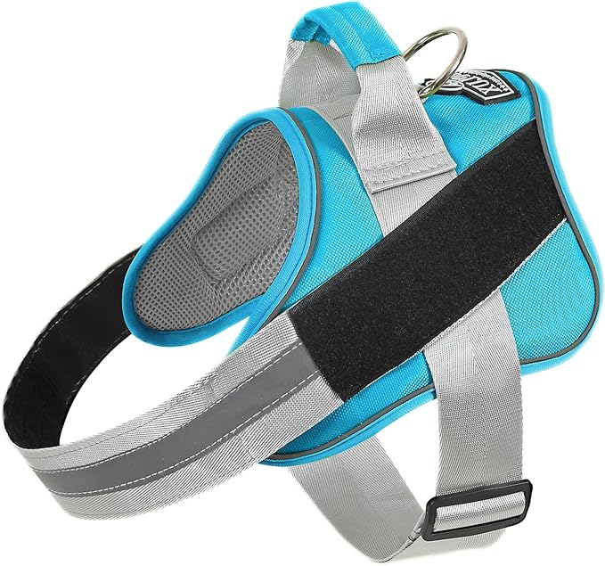Bolux Dog Harness, No-Pull Reflective Dog Vest, Breathable Adjustable Pet Harness with Handle for Outdoor Walking - No More Pulling, Tugging or Choking (OceanicBlue, X-Small (Pack of 1)) Bolux