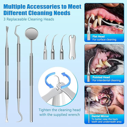 Dog Plaque Remover for Teeth, Dog Teeth Cleaning Kit with LED Light and 5 Modes, Teeth Cleaner for Dogs and Cats,White MIONJO