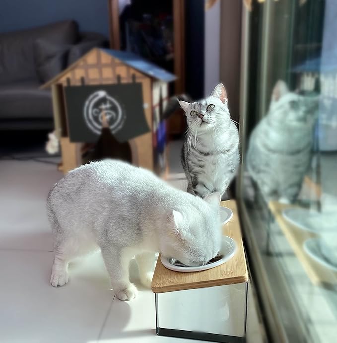 Sunhoo Ceramic Elevated Cat Bowls, Raised Puppy Dishes for Food and Water, Tilted Bamboo Stand for Anti Vomiting, Indoor 5.5 inch Wide Double Dish Orthopedic Anti-Vomiting (Wood Color) - PAWPICO