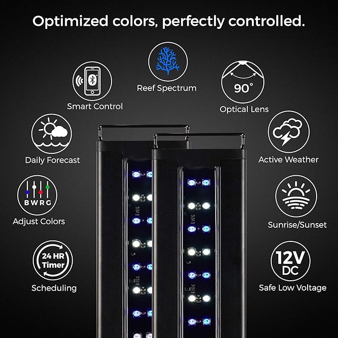 CURRENT USA PRO Dual 48-60" Inch Orbit Marine IC Loop LED Saltwater Reef Marine Aquarium Light with Bluetooth App Control | Wireless Lighting & eFlux Wave Pump Control for Fish Tank (4337) Current+USA