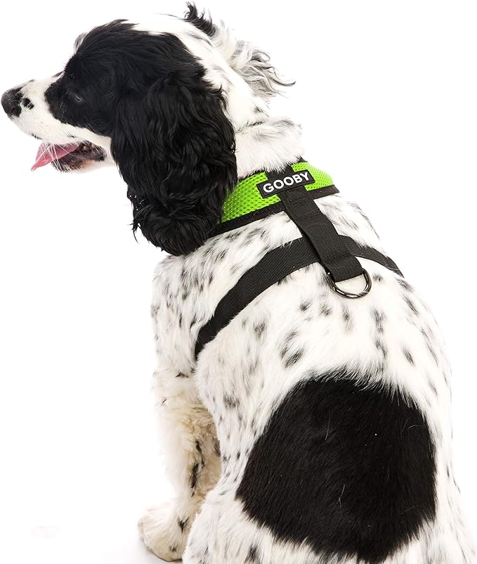 Gooby Comfort X Head In Harness - Green, Large - No Pull Small Dog Harness, Patented Choke-Free X Frame - Perfect on the Go Dog Harness for Medium Dogs No Pull or Small Dogs for Indoor and Outdoor Use Gooby