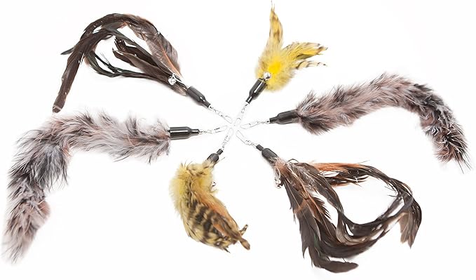 The Natural Pet Company Cat Toys Feather Refill 6 Pack - Add Life to Your Cat's Favorite Toy with This Interchangeable Feather Refill Multipack (As Photographed). - PAWPICO